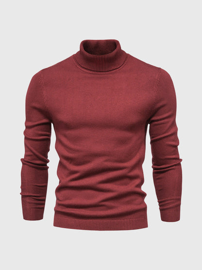 Herren Rollkragenpullover, Waschbar